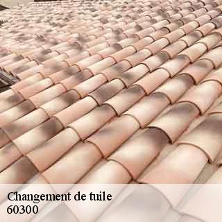 Changement de tuile apremont-60300 Gresset Couverture