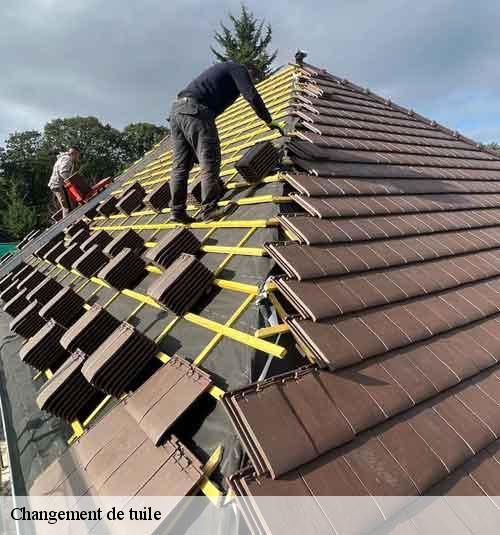 Changement de tuile  avilly-saint-leonard-60300 Gresset Couverture
