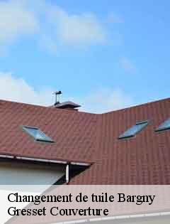 Changement de tuile bargny-60620 Gresset Couverture