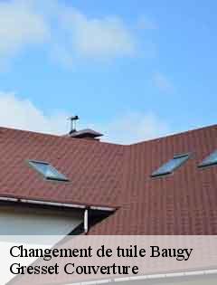 Changement de tuile  baugy-60113 Gresset Couverture