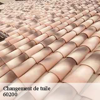 Changement de tuile  bienville-60200 Gresset Couverture