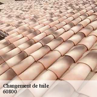 Changement de tuile duvy-60800 Gresset Couverture