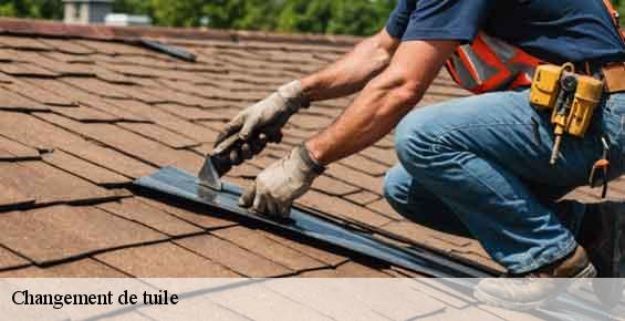 Changement de tuile  la-neuville-d-aumont-60790 Gresset Couverture