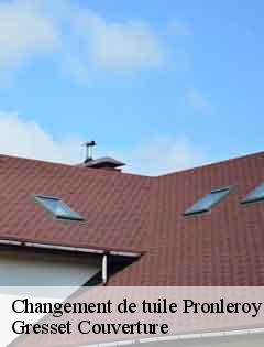 Changement de tuile  pronleroy-60190 Gresset Couverture