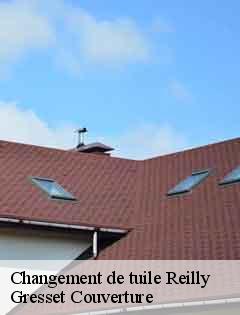 Changement de tuile  reilly-60240 Gresset Couverture