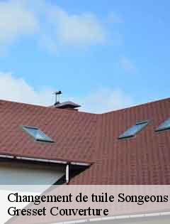 Changement de tuile  songeons-60380 Gresset Couverture