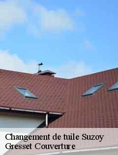 Changement de tuile  suzoy-60400 Gresset Couverture