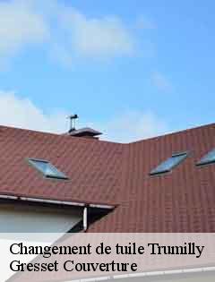 Changement de tuile  trumilly-60800 Gresset Couverture