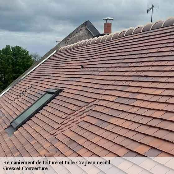 Remaniement de toiture et tuile crapeaumesnil-60310 Gresset Couverture