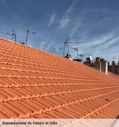 Remaniement de toiture et tuile  tracy-le-mont-60170 Gresset Couverture