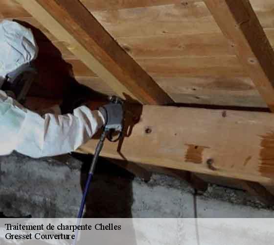 Traitement de charpente chelles-60350 Gresset Couverture