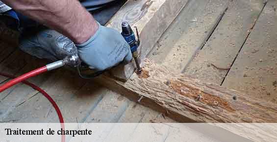 Traitement de charpente maisoncelle-tuilerie-60480 Gresset Couverture