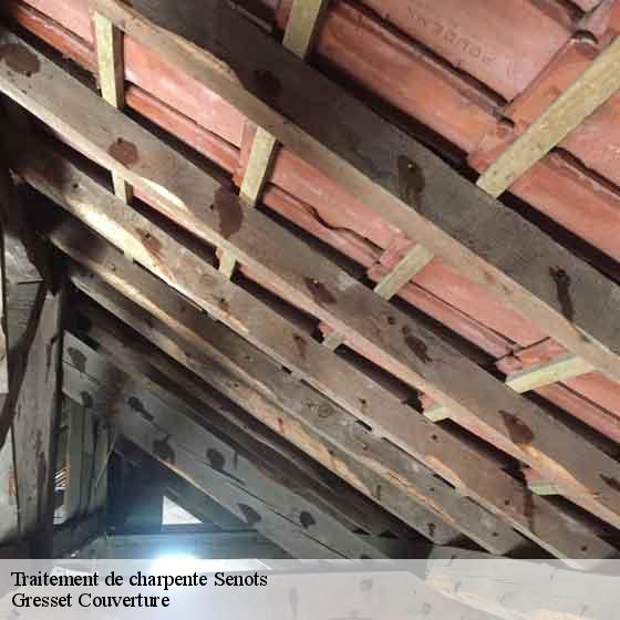 Traitement de charpente  senots-60240 Gresset Couverture