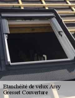 Etanchéité de velux  arsy-60190 Gresset Couverture