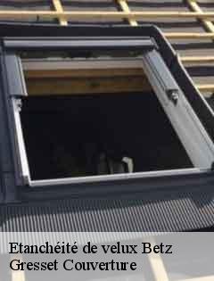 Etanchéité de velux betz-60620 Gresset Couverture