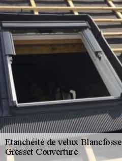 Etanchéité de velux  blancfosse-60120 Gresset Couverture