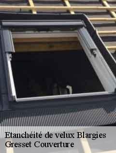 Etanchéité de velux blargies-60220 Gresset Couverture