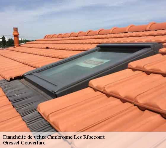 Etanchéité de velux cambronne-les-ribecourt-60170 Gresset Couverture