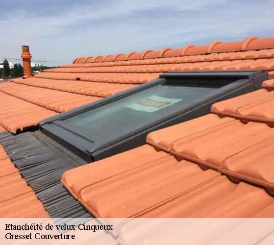 Etanchéité de velux cinqueux-60940 Gresset Couverture
