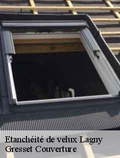 Etanchéité de velux  lagny-60310 Gresset Couverture