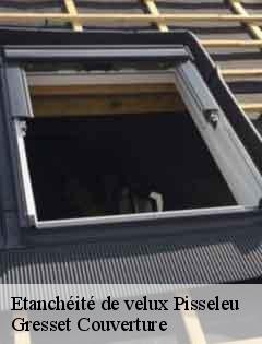 Etanchéité de velux  pisseleu-60860 Gresset Couverture
