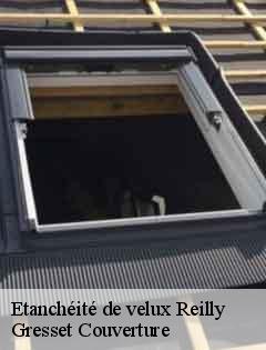 Etanchéité de velux reilly-60240 Gresset Couverture