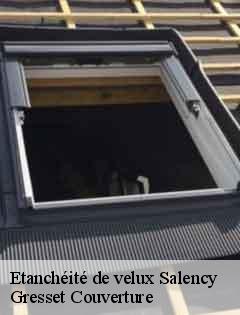 Etanchéité de velux  salency-60400 Gresset Couverture