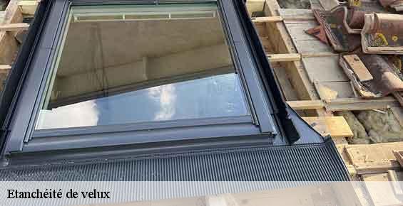 Etanchéité de velux sauqueuse-saint-lucien-60112 Gresset Couverture