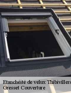 Etanchéité de velux thibivillers-60240 Gresset Couverture