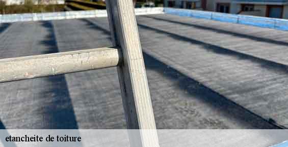 etancheite de toiture  chelles-60350 Gresset Couverture