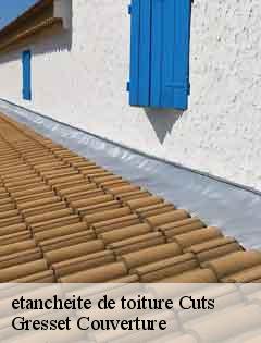 etancheite de toiture  cuts-60400 Gresset Couverture
