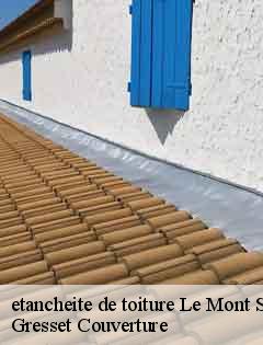 etancheite de toiture le-mont-saint-adrien-60650 Gresset Couverture