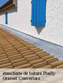 etancheite de toiture plailly-60128 Gresset Couverture