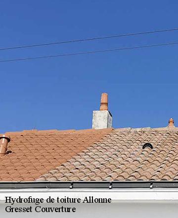 Hydrofuge de toiture  allonne-60000 Gresset Couverture