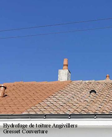 Hydrofuge de toiture  angivillers-60130 Gresset Couverture
