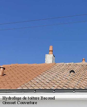 Hydrofuge de toiture  bacouel-60120 Gresset Couverture