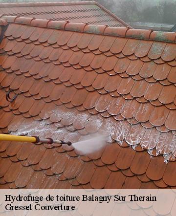 Hydrofuge de toiture  balagny-sur-therain-60250 Gresset Couverture