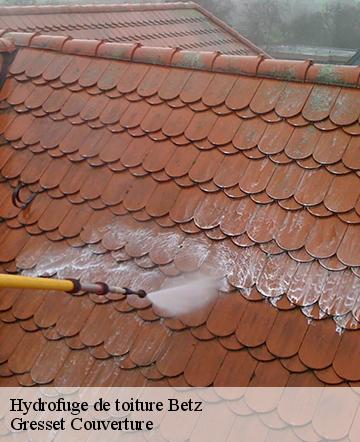 Hydrofuge de toiture betz-60620 Gresset Couverture
