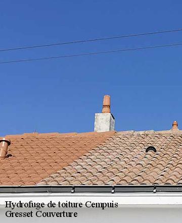 Hydrofuge de toiture cempuis-60210 Gresset Couverture