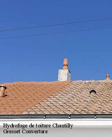 Hydrofuge de toiture chantilly-60500 Gresset Couverture