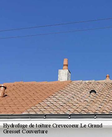 Hydrofuge de toiture  crevecoeur-le-grand-60360 Gresset Couverture