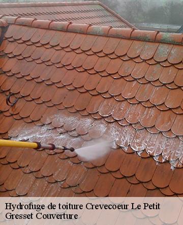 Hydrofuge de toiture  crevecoeur-le-petit-60420 Gresset Couverture