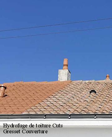 Hydrofuge de toiture cuts-60400 Gresset Couverture