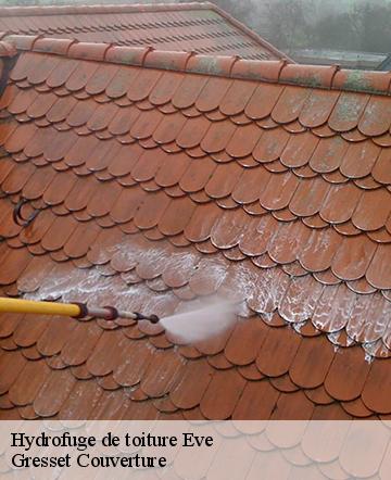 Hydrofuge de toiture eve-60330 Gresset Couverture