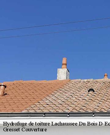 Hydrofuge de toiture  lachaussee-du-bois-d-ecu-60480 Gresset Couverture