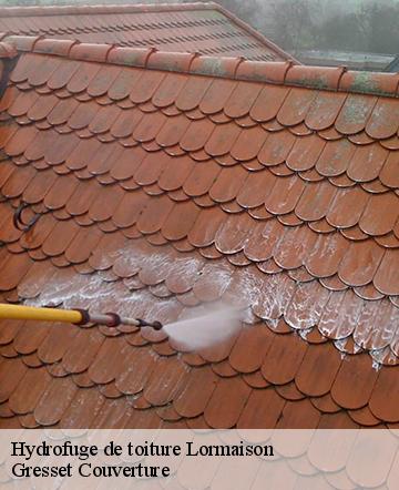Hydrofuge de toiture  lormaison-60110 Gresset Couverture