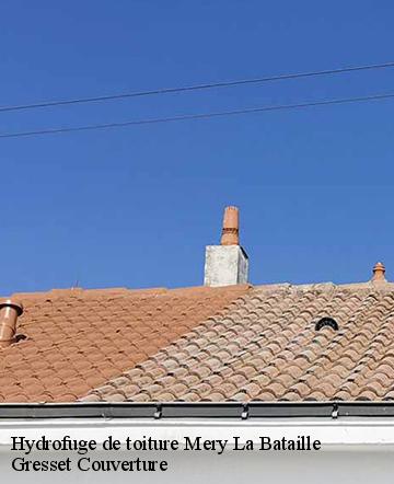 Hydrofuge de toiture  mery-la-bataille-60420 Gresset Couverture