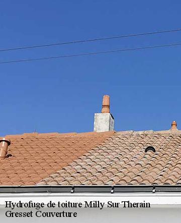 Hydrofuge de toiture  milly-sur-therain-60112 Gresset Couverture