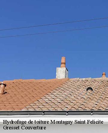 Hydrofuge de toiture  montagny-saint-felicite-60950 Gresset Couverture