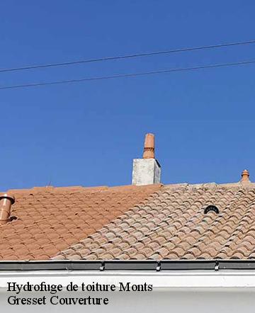 Hydrofuge de toiture  monts-60119 Gresset Couverture